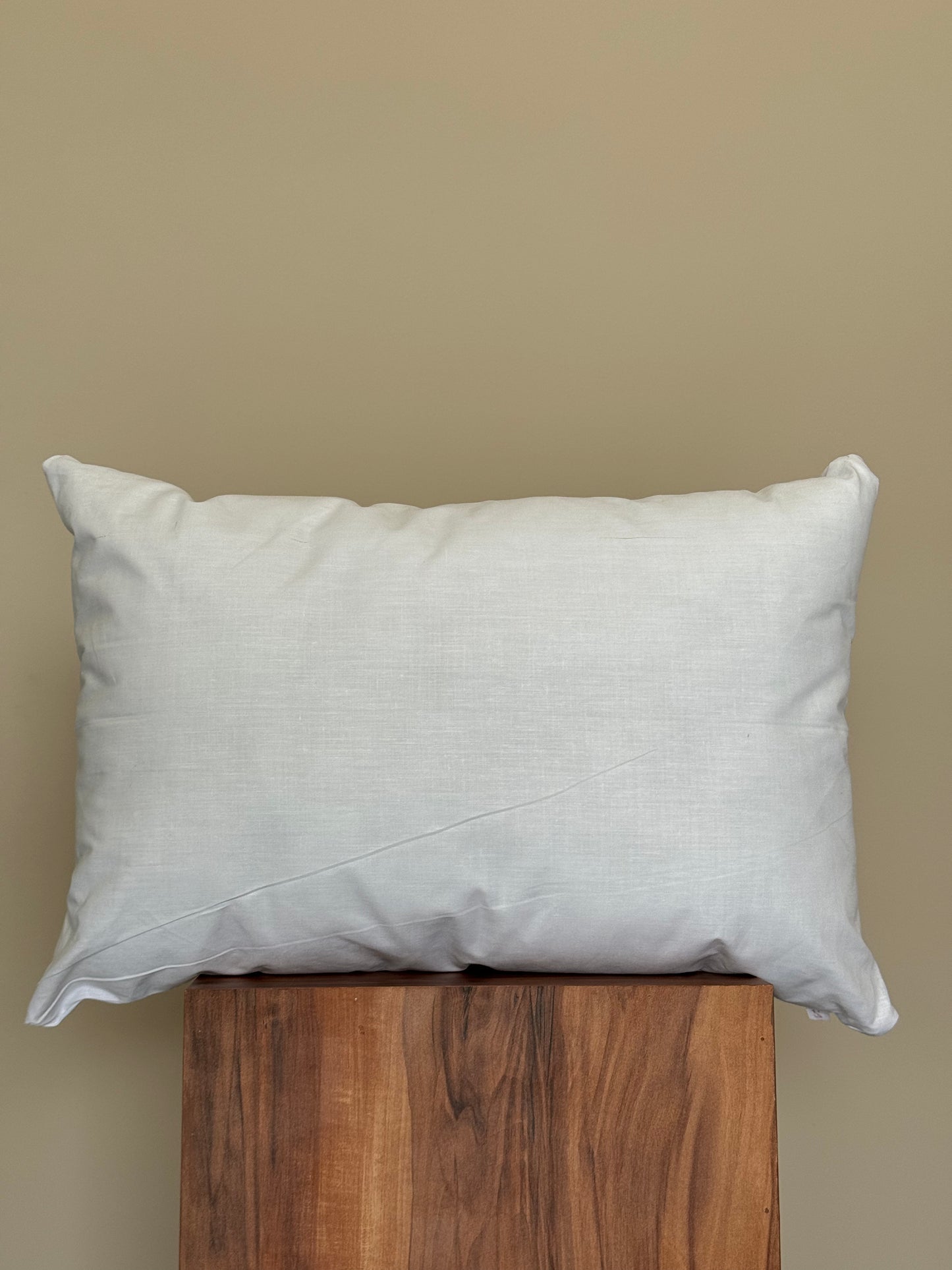 Almohada Viaje